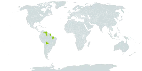 Odontocarya mallosperma world distribution map, present in Bolivia (Plurinational State of), Brazil, and Venezuela (Bolivarian Republic of)