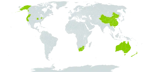 Oenanthe world distribution map, present in Australia, China, New Zealand, United States of America, and South Africa