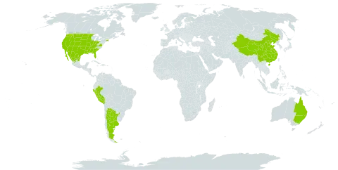 Oenothera curtiflora world distribution map, present in Argentina, Australia, China, Mexico, Peru, and United States of America