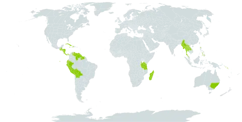 Omphalea world distribution map, present in Australia, Bolivia (Plurinational State of), Costa Rica, Cuba, Dominica, Ecuador, Guatemala, Guyana, Honduras, Haiti, Jamaica, Lao People's Democratic Republic, Madagascar, Myanmar, Nicaragua, Panama, Peru, Philippines, Solomon Islands, Suriname, Thailand, Tanzania, United Republic of, and Venezuela (Bolivarian Republic of)