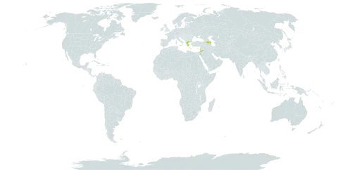 Onobrychis montana subsp. macrocarpa world distribution map, present in Armenia, Azerbaijan, Greece, Jordan, and Lebanon