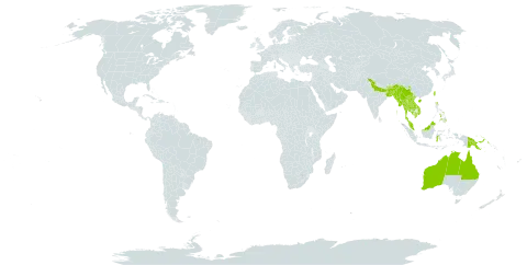 Onychium siliculosum world distribution map, present in Australia, Bangladesh, Bhutan, China, Indonesia, India, Cambodia, Lao People's Democratic Republic, Myanmar, Malaysia, Nepal, Philippines, Papua New Guinea, Thailand, Taiwan, Province of China, and Viet Nam