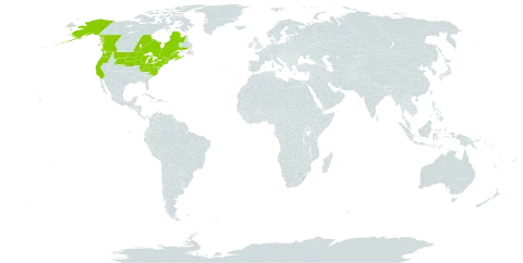 Ophioglossum pusillum world distribution map, present in Canada, France, Saint Pierre and Miquelon, and United States of America