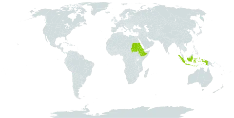 Ophiuros papillosus world distribution map, present in Eritrea, Ethiopia, Indonesia, and Sudan