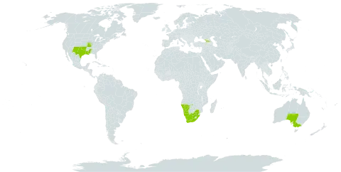 Opuntia engelmannii var. lindheimeri world distribution map, present in Australia, Georgia, Namibia, United States of America, and South Africa