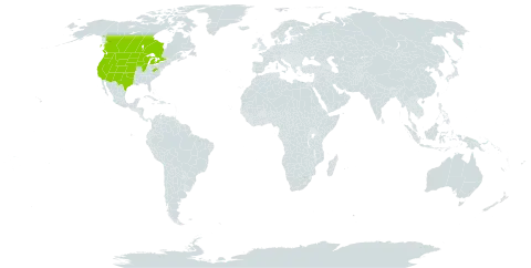 Opuntia fragilis world distribution map, present in Canada and United States of America