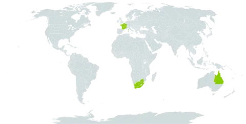 Orbea variegata world distribution map, present in Australia, France, and South Africa