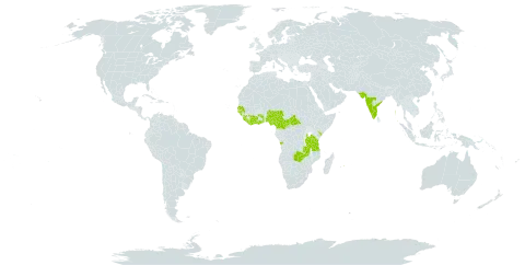 Ormocarpum sennoides world distribution map, present in Angola, Central African Republic, Côte d'Ivoire, Cameroon, Ghana, Guinea, Guinea-Bissau, India, Kenya, Liberia, Sri Lanka, Mauritius, Nigeria, Senegal, Sierra Leone, Togo, Tanzania, United Republic of, and Zambia