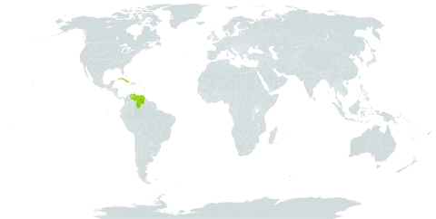 Ormosia monosperma world distribution map, present in Cuba, Dominica, Fiji, Guadeloupe, Grenada, Saint Lucia, Montserrat, Martinique, Mauritius, Réunion, Trinidad and Tobago, and Venezuela (Bolivarian Republic of)