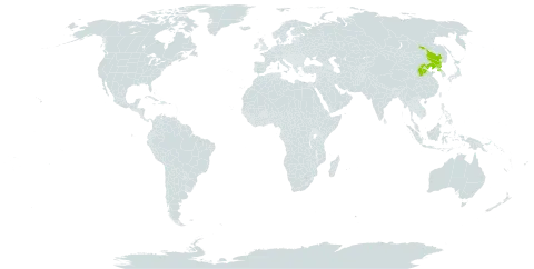 Orobanche pycnostachya var. amurensis world distribution map, present in China and Korea (Democratic People's Republic of)