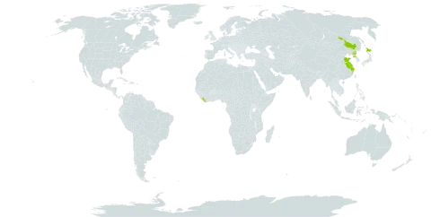 Orostachys japonica world distribution map, present in China, Japan, Liberia, and Korea (Democratic People's Republic of)