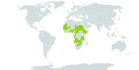 Oryza barthii world distribution map, present in Angola, Benin, Botswana, Central African Republic, Congo, Ethiopia, Ghana, Guinea, Gambia, Guinea-Bissau, Liberia, Mali, Mauritania, Nigeria, Sudan, Senegal, Sierra Leone, Chad, Togo, Tanzania, United Republic of, Uganda, Zambia, and Zimbabwe