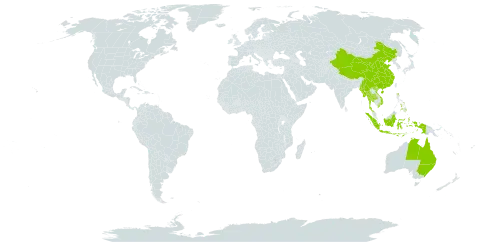 Oryza officinalis world distribution map, present in Australia, China, Indonesia, Myanmar, Nepal, Philippines, Thailand, and Viet Nam