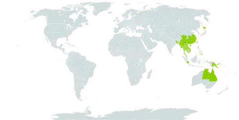 Osbeckia chinensis world distribution map, present in Australia, Bangladesh, China, Indonesia, Japan, Cambodia, Lao People's Democratic Republic, Myanmar, Malaysia, Nepal, Philippines, Papua New Guinea, Thailand, Taiwan, Province of China, and Viet Nam