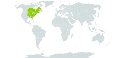 Osmorhiza claytonii world distribution map, present in Canada and United States of America