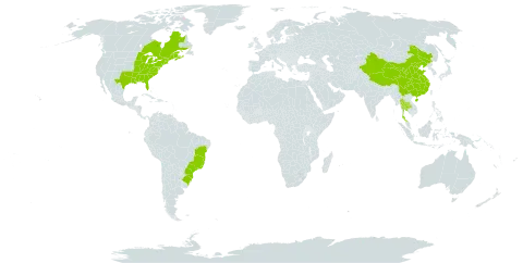 Osmundastrum cinnamomeum world distribution map, present in Brazil, Canada, China, France, Thailand, and United States of America