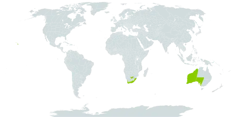 Osteospermum calendulaceum world distribution map, present in Australia, United States of America, and South Africa