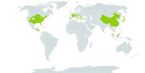 Ostrya world distribution map, present in Åland Islands, Albania, Austria, Bulgaria, Switzerland, China, France, Micronesia (Federated States of), Georgia, Greece, Guatemala, Honduras, Hungary, Italy, Japan, Malaysia, Nicaragua, Korea (Democratic People's Republic of), Turks and Caicos Islands, and United States of America