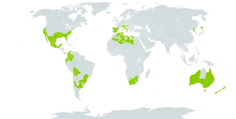 Oxalis articulata world distribution map, present in Argentina, Australia, Bosnia and Herzegovina, Bolivia (Plurinational State of), Brazil, Colombia, Algeria, Ecuador, Spain, France, United Kingdom of Great Britain and Northern Ireland, Gibraltar, Greece, Croatia, Italy, Japan, Libya, Mexico, New Zealand, Panama, Korea (Democratic People's Republic of), Portugal, Uruguay, United States of America, and South Africa