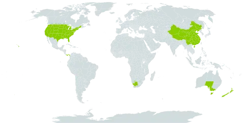 Oxalis world distribution map, present in Australia, China, New Zealand, Panama, United States of America, and South Africa