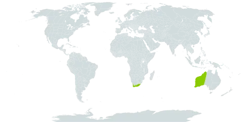 Oxalis polyphylla world distribution map, present in Australia and South Africa