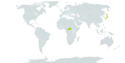 Oxygyne world distribution map, present in Central African Republic and Japan