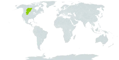 Oxytropis besseyi var. besseyi world distribution map, present in Canada and United States of America