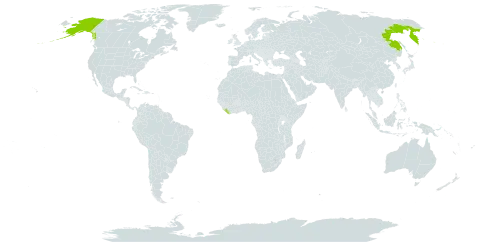 Oxytropis czukotica world distribution map, present in Liberia, Russian Federation, and United States of America