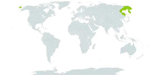 Oxytropis evenorum world distribution map, present in Russian Federation