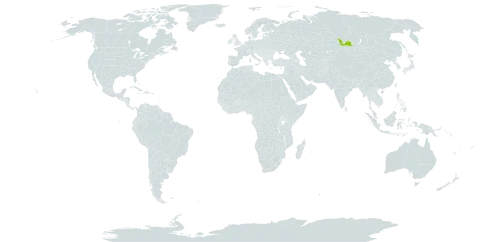 Oxytropis includens world distribution map, present in Russian Federation