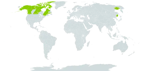 Oxytropis maydelliana world distribution map, present in Canada, Russian Federation, and United States of America