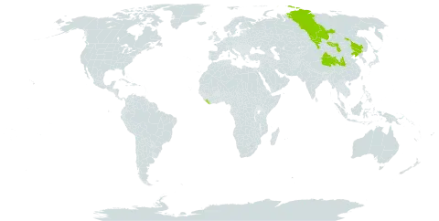 Oxytropis oxyphylla world distribution map, present in China, Liberia, Mongolia, and Russian Federation