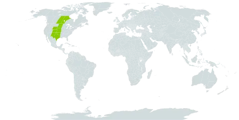 Packera thurberi world distribution map, present in Canada and United States of America