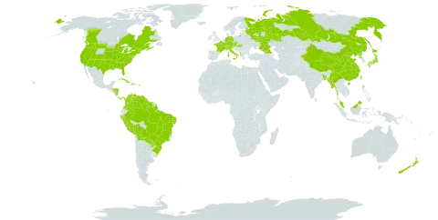 Panicum dichotomiflorum world distribution map, present in Åland Islands, Albania, Austria, Bangladesh, Bahamas, Bermuda, Bolivia (Plurinational State of), Brazil, Canada, Switzerland, China, Colombia, Cuba, Czech Republic, Germany, Dominica, France, Micronesia (Federated States of), Georgia, Guyana, Honduras, Haiti, Hungary, Italy, Japan, Myanmar, Malaysia, Nicaragua, New Zealand, Panama, Peru, Puerto Rico, Korea (Democratic People's Republic of), Paraguay, Russian Federation, Suriname, Taiwan, Province of China, United States of America, and Venezuela (Bolivarian Republic of)