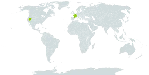 Papaver lapeyrousianum world distribution map, present in France and United States of America