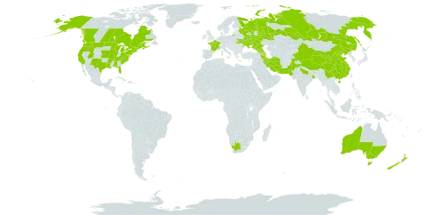 Papaver rhoeas world distribution map, present in Armenia, Australia, Azerbaijan, Canada, China, France, United Kingdom of Great Britain and Northern Ireland, Georgia, Greece, India, Iran (Islamic Republic of), Nepal, New Zealand, Pakistan, Portugal, Russian Federation, Ukraine, United States of America, and South Africa