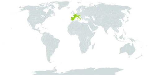 Paradisea world distribution map, present in Austria, Switzerland, Spain, France, Italy, and Portugal