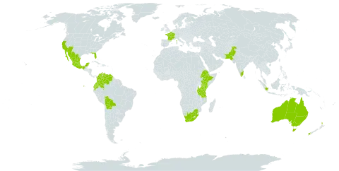 Paraserianthes lophantha world distribution map, present in Australia, Bonaire, Sint Eustatius and Saba, Bolivia (Plurinational State of), Colombia, Ecuador, Ethiopia, France, Indonesia, India, Kenya, Mexico, New Zealand, Pakistan, Tanzania, United Republic of, United States of America, Venezuela (Bolivarian Republic of), and South Africa