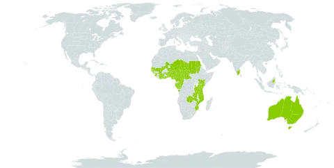 Parkia biglobosa world distribution map, present in Angola, Australia, Benin, Bonaire, Sint Eustatius and Saba, Burkina Faso, Central African Republic, Côte d'Ivoire, Cameroon, Congo, Gabon, Ghana, Guinea, Guinea-Bissau, Indonesia, India, Kenya, Mali, Mozambique, Malawi, Niger, Nigeria, Sudan, Senegal, Sierra Leone, Chad, Togo, Tanzania, United Republic of, Uganda, and Zambia