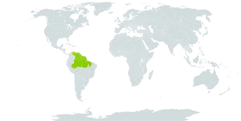 Parkia ulei var. surinamensis world distribution map, present in American Samoa, Brazil, French Guiana, Guyana, Suriname, and Venezuela (Bolivarian Republic of)