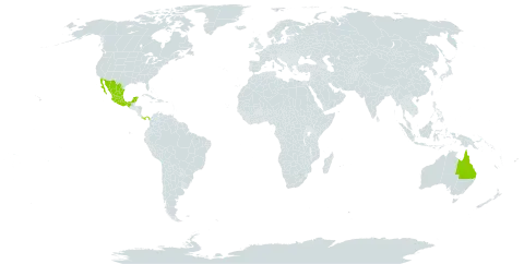 Parmentiera aculeata world distribution map, present in Australia, Mexico, North Macedonia, Panama, and Philippines