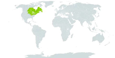 Parnassia glauca world distribution map, present in Canada and United States of America