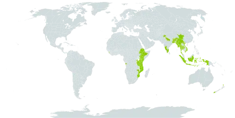 Parochetus communis world distribution map, present in Angola, Bangladesh, Bhutan, China, Ethiopia, Indonesia, India, Kenya, Sri Lanka, Myanmar, Mozambique, Malawi, Nepal, New Zealand, Rwanda, Thailand, Tanzania, United Republic of, Uganda, and Viet Nam