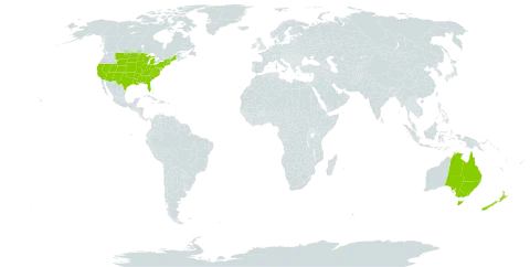 Paronychia world distribution map, present in Australia, New Zealand, and United States of America