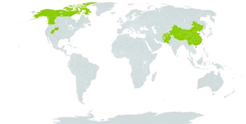 Parrya nudicaulis world distribution map, present in Afghanistan, Canada, China, India, Pakistan, and United States of America