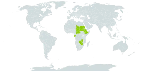 Paspalum lamprocaryon world distribution map, present in Central African Republic, Ethiopia, Gabon, Sudan, Chad, Zambia, and Zimbabwe