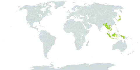 Paspalum sumatrense world distribution map, present in Andorra, Bangladesh, Indonesia, Japan, Myanmar, Nepal, Nauru, Philippines, Solomon Islands, Thailand, Taiwan, Province of China, Viet Nam, and Samoa