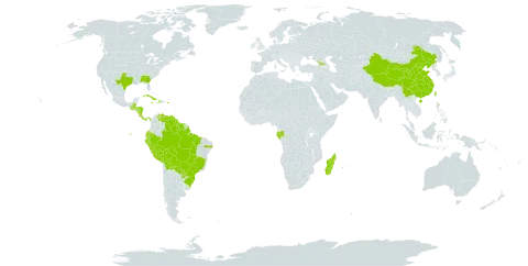 Paspalum virgatum world distribution map, present in Åland Islands, Belize, Bolivia (Plurinational State of), Brazil, China, Costa Rica, Cuba, Dominica, Ecuador, Gabon, Georgia, Guatemala, Guyana, Honduras, Haiti, Jamaica, Madagascar, Mauritius, Nicaragua, Panama, Peru, Puerto Rico, Paraguay, Réunion, Suriname, Taiwan, Province of China, United States of America, and Venezuela (Bolivarian Republic of)