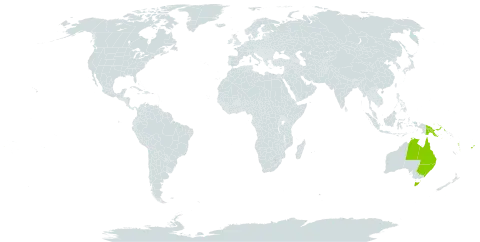 Passiflora aurantia world distribution map, present in Australia, Fiji, Niue, Papua New Guinea, Tonga, Vanuatu, and Samoa