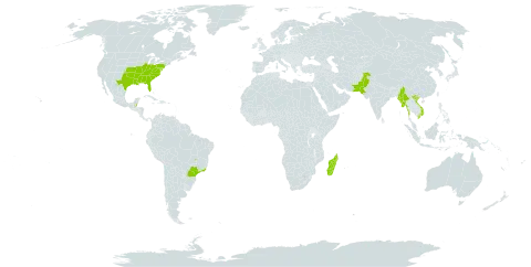 Passiflora incarnata world distribution map, present in Belize, Brazil, Madagascar, Myanmar, Pakistan, United States of America, and Viet Nam